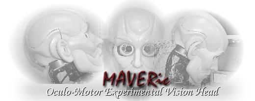 Maveric banner